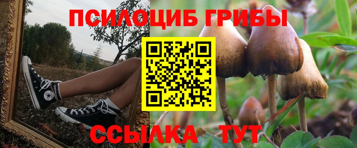 Псилоцибиновые грибы GOLDEN TEACHER Липецк