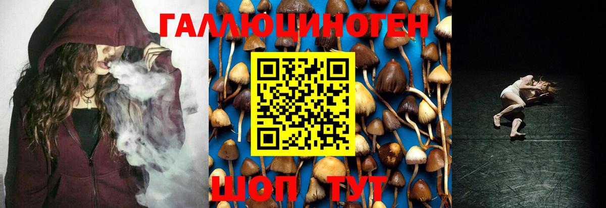Галлюциногенные грибы Psilocybe  Вход с VPN  Липецк 